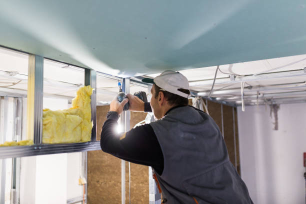Best Insulation for Specific Applications in Hazlehurst, MS