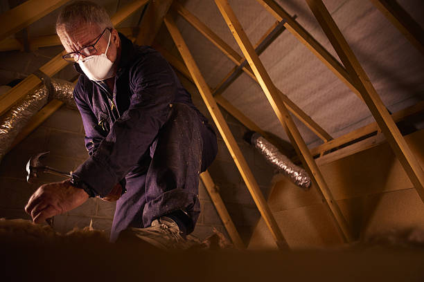 Best Types of Insulation in Hazlehurst, MS